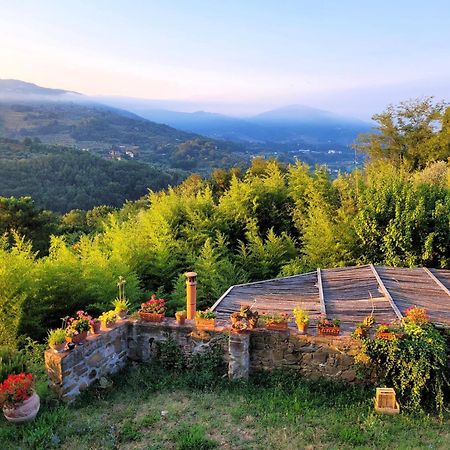 Agriturismo I Pitti Serravalle Pistoiese Luaran gambar