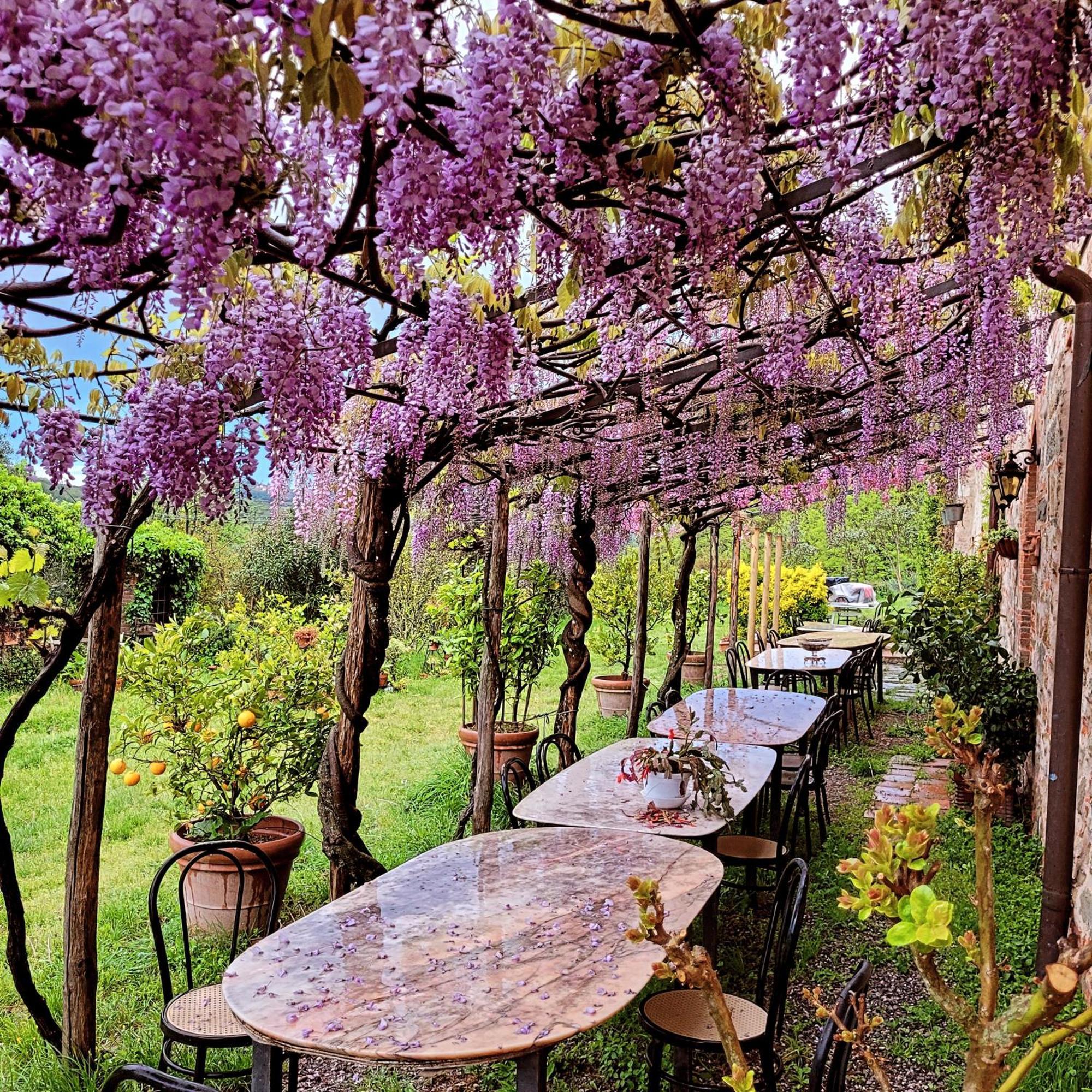 Agriturismo I Pitti Serravalle Pistoiese Luaran gambar