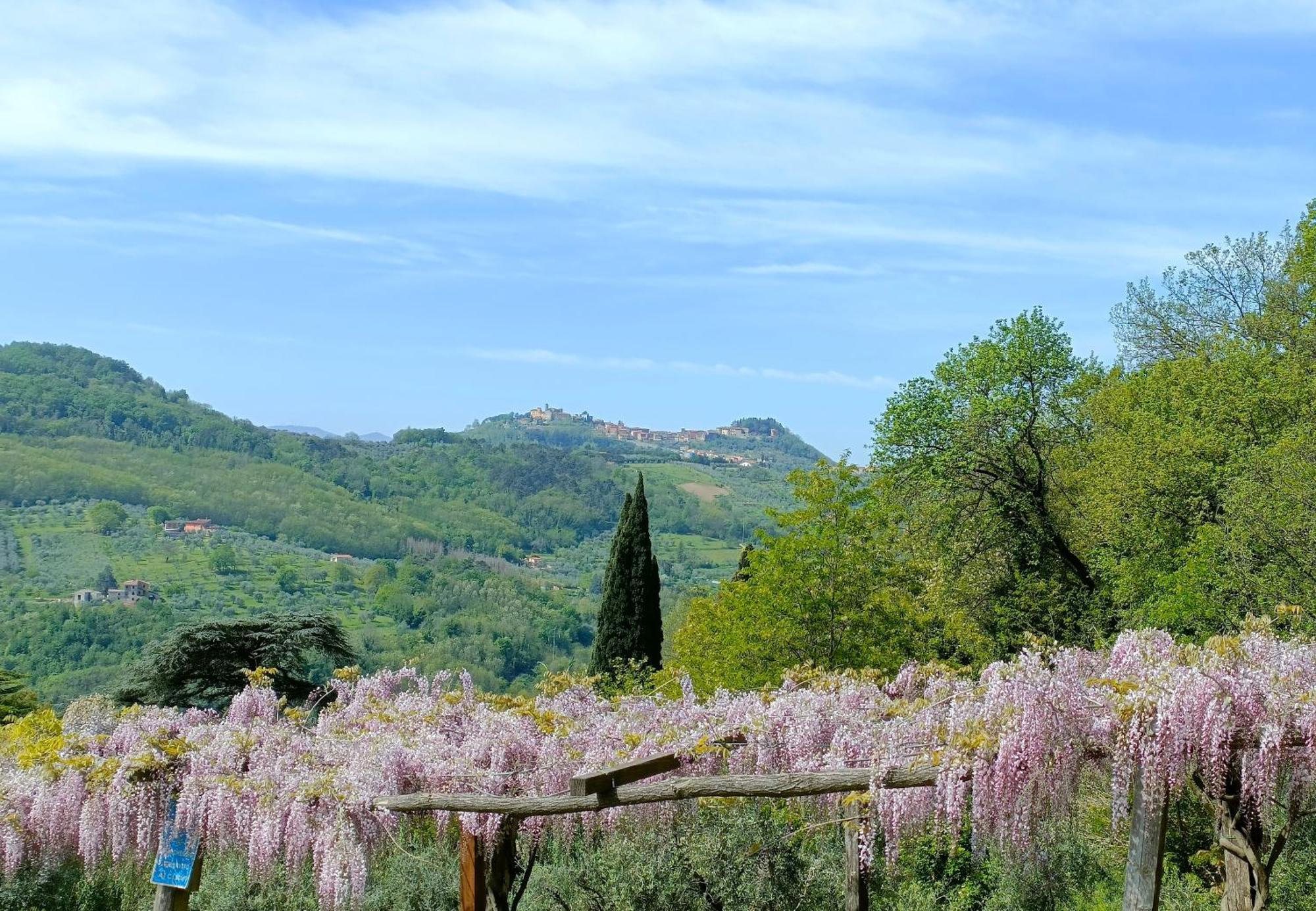 Agriturismo I Pitti Serravalle Pistoiese Luaran gambar