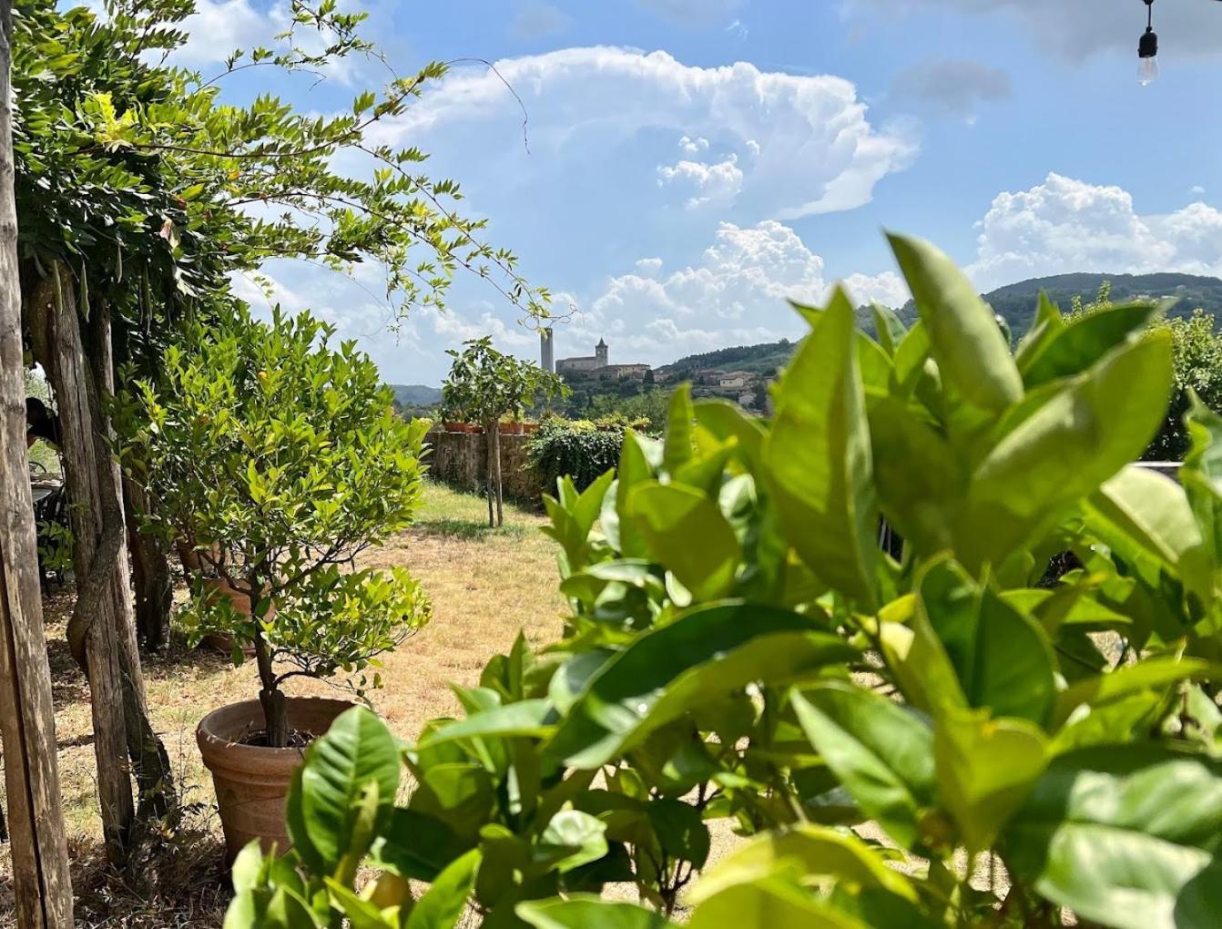 Agriturismo I Pitti Serravalle Pistoiese Luaran gambar